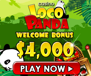 Loco Panda Casino Current Promotion